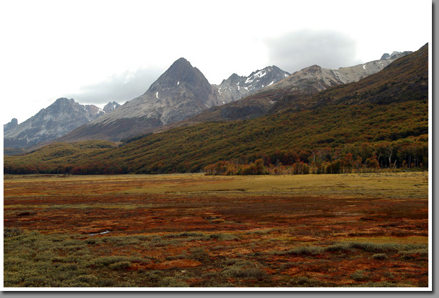 Autumn in the mountains of Tierra del Fuego
