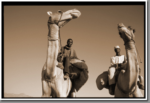 Camel herders on their way from northern Sudan to Libyan Kufra oasis