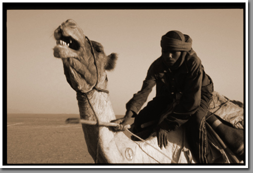 Caravan camel rider between Jebel Uweinat and Jebel Kissu